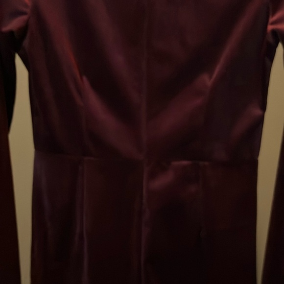 Burgundy Dress - Picture 4 of 8